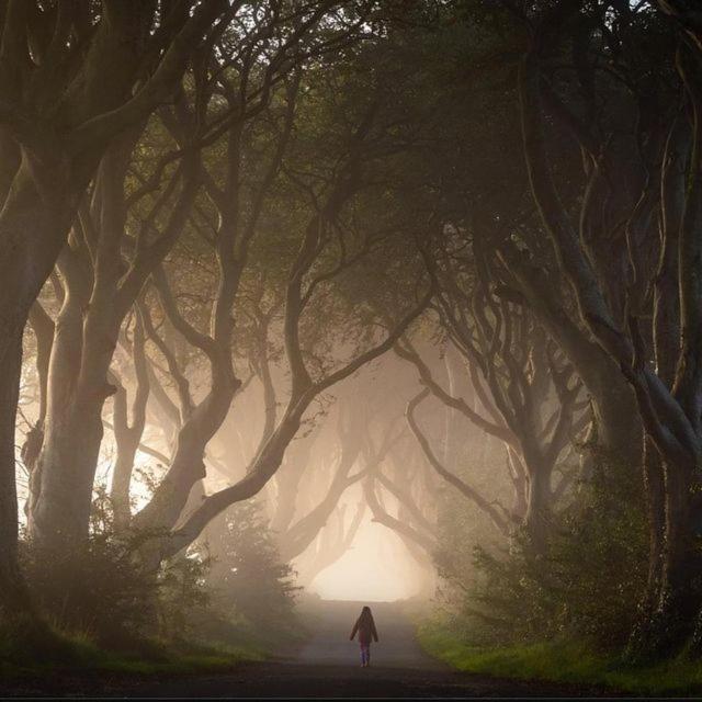 بوليماني Further Space At Thornfield Luxury Glamping Pods, The Dark Hedges, Ballycastle المظهر الخارجي الصورة