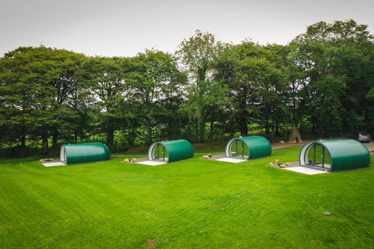 بوليماني Further Space At Thornfield Luxury Glamping Pods, The Dark Hedges, Ballycastle المظهر الخارجي الصورة