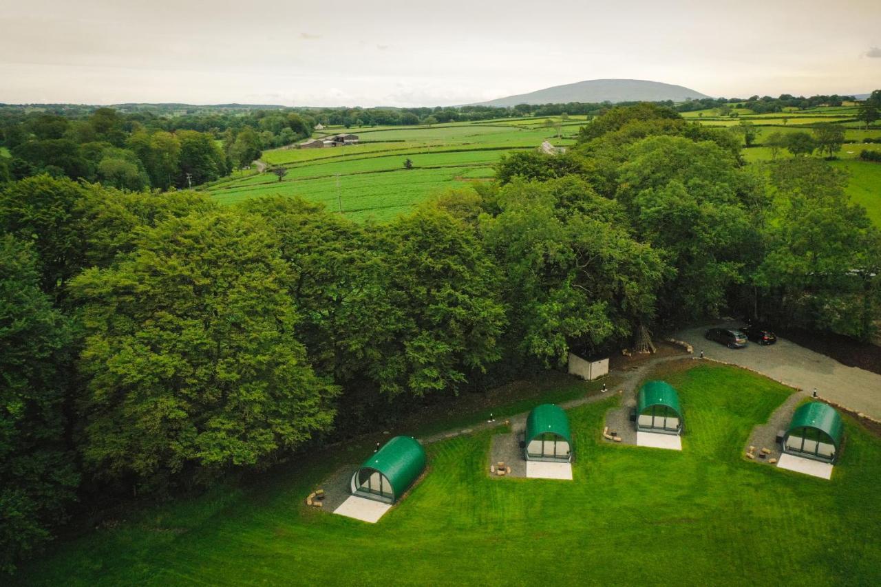 بوليماني Further Space At Thornfield Luxury Glamping Pods, The Dark Hedges, Ballycastle المظهر الخارجي الصورة